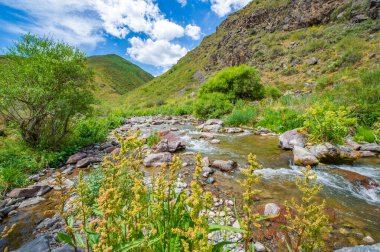 Doğanın çarpıcı güzelliğinin tadını çıkar. Nehrin kayalık kanyonda nasıl zarifçe aktığına bakın. Kendini dağların kalbine daldır..