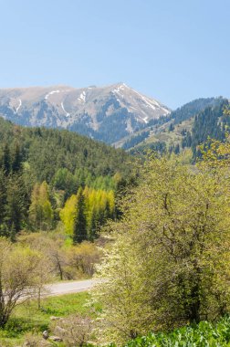 İlkbahar dağlarda Dağların ihtişamı tüm yıl boyunca sihirlidir. İlkbaharda çiçek açan bahar mevsiminde yemyeşil patikalar sonbaharda alevli yapraklar ve karla kaplı zirveler.