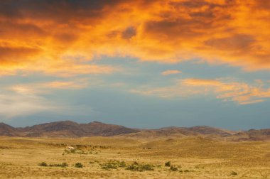 Steppe, Prairie, sade, pampa. Ateşli güneş veda ederken, engin çayırlara son altın parıltısını atarken, acı tatlı bir melankoli çöker. Günün Sonu