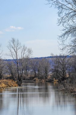 Nehir tekrar akmaya başlar. Bahar geldiğinde ağaçlar yapraklanmaya başlar ve yeni büyümenin erken belirtilerini gösterir. Geçen yıl mevsim için yeni çimenler yeşerdikçe sarı çimenler de yeşile döner.