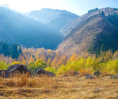 Sonbahar dağları, Tien Shan ladini büyüleyici dağ tepelerinde huzur ve sükunet bul. Kendini doğanın sonbahar çalışmalarının ihtişamına bırak..