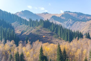 Nefes kesici Tien Shan 'ı keşfedin. Antik çam ve huş ağaçlarının sükunetini hisset. Doğanın kalıcı gücünü dağların kalbinde hisset..
