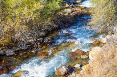 Sonbaharın dingin güzelliğine dalın. Parlak ormanda dolaşan berrak bir nehre tanık olun. Nefes kesici Tien Shan dağlarını arka planınız olarak görün..
