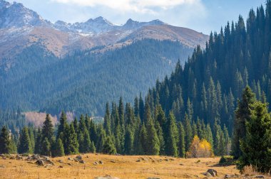 Sonbaharda Tien Shan dağlarının güzelliğini hisset. Yeşillik ve renkli çiçeklerle çevrili rahatlatıcı bir yürüyüş yap. Dağ yamaçlarının sakinliğinin ve huzurunun tadını çıkar..