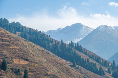 Büyüleyici bir dağ ormanında sonbaharın güzelliğini tecrübe edin. Doğanın renkli başyapıtında dolaşın. Bu canlı yeşilliğin kollarında kaybolun. Değişen mevsimleri tecrübe et