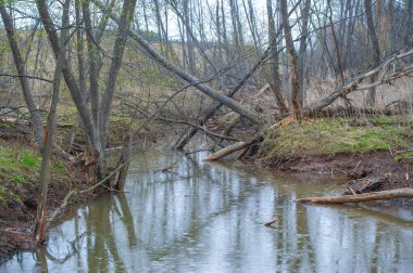 Sonsuz tarlalar arasında gizli bir vaha keşfetmek. Doğanın serenatının cazibesini tecrübe et. Kunduz cennetinin güzelliğine tanık olun. Gizemli Göl 'ün sırlarını açığa çıkar..