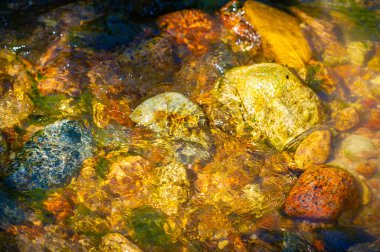 Kendini el değmemiş vahşi doğaya daldır. Bir dağ deresinde suyun ritmik dansını hisset. Her taşın karmaşık detaylarını takdir et. Işığın parıldayan oyununa tanık olun..
