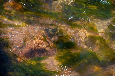 Mountain Creek. Stones Water, tedavi programımızla doğanın iyileştirici gücünü deneyimliyor. Doğayla barışın ve onun yumuşak melodilerinde teselli bulun..