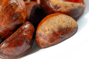 Mevsimin özünü fındık ağaçlarının saf beyaz bir zemin üzerine kurulmuş büyüleyici bir görüntüsüyle yakalayın. Sonbaharın özünü en saf haliyle yakalayın. Sonbahar Hasat Zamanı