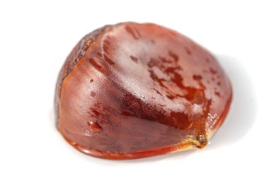 Bu kestane ağacının altın tonları temiz beyaz bir tuval üzerinde canlanıyor ve doğanın karmaşık ayrıntılarını yakından ortaya koyuyor. Makrofotoğrafçılık