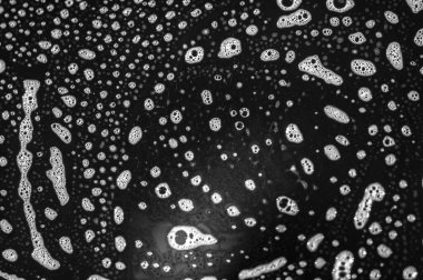 Lüks köpük banyosu yap. Güçlü deterjanla kolayca temiz tabaklar. Siyah bir tabak mutfağınızı şık ve modern gösterecek..