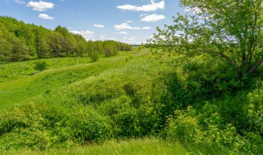 Bahar tarlaları kırsal bölgeleri sarar. Dik yamaçlı, derin ve dar bir vadi. Doğal olarak yükseltilmiş bir arazi, bir dağ kadar yüksek ya da sarp değil..