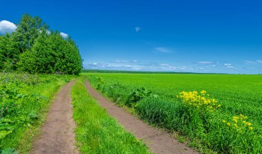 Bahar, manzara, toprak yol ya da yeryüzünün içinden geçtiği yol.
