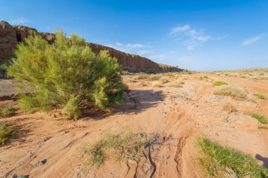 Gün batımında doğanın baş yapıtının ilham verici güzelliğinin tadını çıkarın. Ateşli kırmızı kil dağlarının büyüleyici bir renk gösterisine dönüştüğüne tanık olun. Huzurun tadını çıkar.