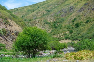Nehrin dingin akışını kayalık bir kanyonda hissedin. Kendini dağ manzarasının doğal güzelliğine daldır. Doğanın başyapıtının huzur ve sükunetini hisset..