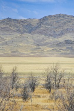 Çayır, düz, çöl. Bırak endişelerin bu büyüleyici çöl günbatımında eriyip gitsin. Doğanın çizdiği gerçek bir başyapıt. Çöl Düş Dünyası.