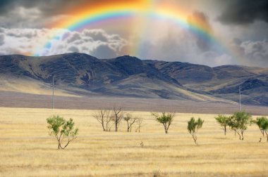 Prairie, karanlığın ortasında doğanın ışıldayan şimşeğinin gökyüzünü aydınlatıp hepimizin içinde yaşayan dayanıklılığı, gücü ve vahşi güzelliği sembolize etmesini izle. Gücünü serbest bırak.