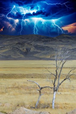 Steppe, çayır, sade, çöl. Gökyüzüne gök gürültüsü ve şimşekler çaktığında doğa ana bize onun görkemli gücünü hatırlatır, ruhumuzda korku ve huşu uyandırır. Doğa Serbest Bırakıldı