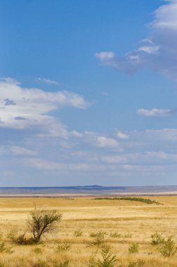 Affedilmez çöl önünüzde durmadan uzanırken, kendinizi bu el değmemiş, evcilleştirilmemiş diyara daldırın, çorak toprakların ebedi cazibesinin keşfinizi beklediği yere..