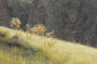 Bozkırda gün batımının dramatik renklerinin tadını çıkar. Dolaşan nehirlerde dolaş ve doğal güzelliğin tadını çıkar. Çarpıcı kayalıkları ve engebeli manzaraları keşfedin. Vahşi yaşamı en iyi şekilde keşfedin..