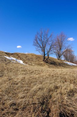 Solmuş çimen parçalarıyla sarı tarlalar baharın erken gelişini işaret ediyor. Ağaçlar yapraksız, yeni filizlerin ortaya çıkmasını bekliyor. Kardan geriye kalanlar yere yapışmış.
