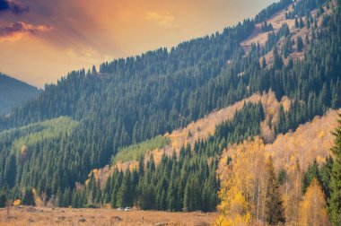 Tien Shan dağlarındaki çam ağaçlarının güzelliğini ve sükunetini hisset. Huş ağaçları boyunca heyecanlı bir maceraya atılın. Bırak bu nefes kesici manzaralar gezgin şehvetine ilham versin..