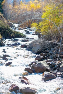 Kendinizi doğanın senfonisinin dinginliğine bırakın. Büyüleyici bir ormanda sonbaharın canlı renklerinin tadını çıkar. Görkemli dağların arasından akan kristal berraklığında büyülenirsin..