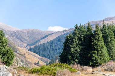Sonbahar zirvelerinin nefes kesici güzelliğini tecrübe et. Kendini parlak altın renkleri denizine daldır. Doğanın sonbahar ihtişamından ilham alın..