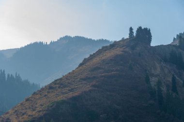 Sonbahar yapraklarının güzelliğine dalın. Bu ormandaki huzur ve sükuneti hisset. Yüksek dağın göz kamaştırıcı manzarasına aşık ol. Kendini doğanın kucağına bırak..