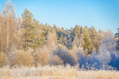 Sihirli kar tarlasını keşfet ve kar tanelerinin sana yol göstermesine izin ver. Bu büyüleyici kış harikalar diyarında sonsuz maceralar yaşayın. Parlak mavi gökyüzü senin pusulan olsun,