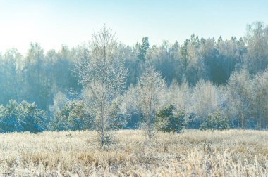 Karla kaplı tarlaların büyüsünü keşfedin. Parlak mavi gökyüzü maceralarınızda size eşlik etsin. Kendinizi büyüleyici bir kış harikalar diyarına daldırın.