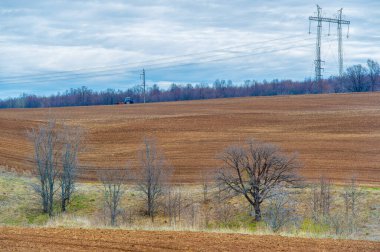 Doğanın güzelliğini ve canlılığını deneyimleyin. Besleyici Toprak hasat mevsimi. Güneşli tarlalar bereketli bir hasat için hazırlanırken yaşam döngüsüne tanık olun.