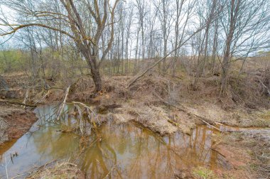 Sonsuz tarlaların ortasında nefis bir vaha. Yansımanın vahşi yaşamla buluştuğu bir yer. Kunduz cennetinin serenatını deneyimlemek. Gizemli Gölet 'in gizemlerini açığa çıkar.