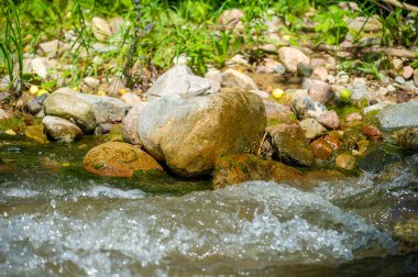 Kendinizi el değmemiş vahşi doğaya daldırın ve bir dağ deresinin güzelliğini keşfedin. Suyun büyüleyici dansını keşfet ve her taşın karmaşık detaylarını takdir et..