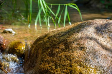 Kendinizi bir dağ deresinin dokunulmamış doğasına daldırın. Suyun ritmik dansını ve büyüleyici güzelliğini hissedin. Nehir yatağındaki her taşın karmaşık detaylarını takdir et..