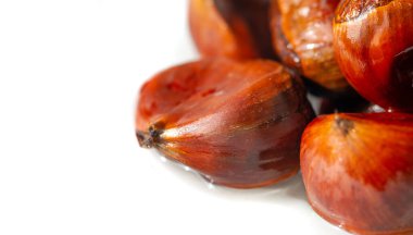 Narin bir kestane düzeni, temiz beyaz arka plana karşı bu basit ama sofistike sunumda sonbaharın özünün tadını çıkarmaya davet eder. Mevsimlik Zarafet