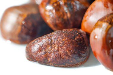 Kızarmış kestane aromasının tadını çıkar. Sonbahar dekoruna mükemmel bir katkı. Şık beyaz mobilyalar biraz zarafet katıyor. Sonbahar kokularıyla evinizde düşüşün özünü yakalayın..