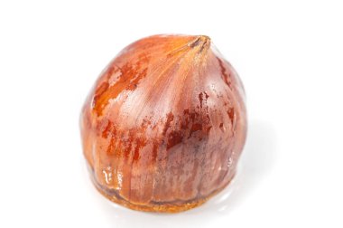 Altın tonlarda kestane ağacının detaylı makro fotoğrafçılığı. Temiz beyaz tuval arka plan doğanın karmaşık detaylarını vurgular. Doğanın güzelliğini yakınlaştırır.