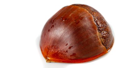 Beyaz arka planda bir kestane ağacının kırsal cazibesini ve güzelliğini taşır. Doğanın tüm ihtişamıyla yakın çekim fotoğrafçılığı. Her ortamda doğanın güzelliğini göstermek için idealdir..