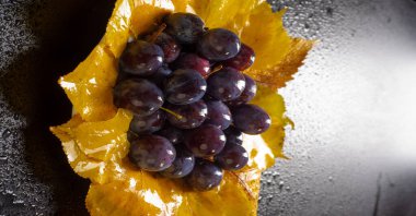 Prunus spinosa stüdyoda fotoğraflandı. Prunus spinosa, siyah kabuğu ve yoğun, sert, dikenli dallarıyla 5 metreye kadar büyüyen büyük bir yaprak döken çalıdır..