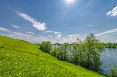 Bahar fotoğrafı, söğüt ağacı, parlak yeşillik, bulutlu mavi gökyüzü, harika bahar havası.