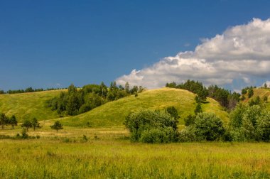 Yaz manzarası, nehir taşkınları, pitoresk kıyılar, kır çiçekli parlak yeşil çimenler, beyaz bulutlu mavi gökyüzü, ılık yaz günleri.,