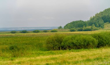 Yaz manzarası. Dünyanın Avrupa bölgesindeki bir nehir. Güneşli sıcak bir gün. Yeşil ağaçlar, çimenler. Mavi gökyüzü küçük bir bulut örtüsüyle.