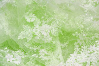 Açık yeşil dantel desenli arka plan. Eski dantel ve safir çizgileri kartpostallarda kullanılabilir. Posta kağıtları ve duvar kağıtları.