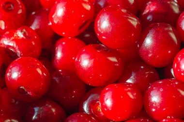 Reçellerimiz için sadece en iyi ve en olgun kirazlar seçilir. Reçel, kalite sağlamak için geleneksel yöntemlerle yapılan zengin ve yoğun bir lezzete sahiptir.