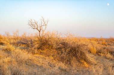 Kendinizi çölün huzurlu güzelliğine daldırın. Rahatla ve nefes kesen manzaranın tadını çıkarırken endişelerinden kurtul. Gün batımında bozkırın sessizliğini hisset..
