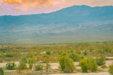 Çayırların ve saksafon çalılarının güzel manzaraları. Doğa severler eşsiz ekosistemi keşfedebilirler. Bu yerlerde bitki ve hayvan çeşitleri gelişir..