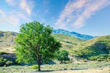 Yazın eteklerdeki görkemli dağları keşfet. Bu güzel bölgede yürüyüş, kamp ve açık hava maceralarının tadını çıkarın. Her dönemeçte nefes kesici manzara ve manzaranın tadını çıkar..