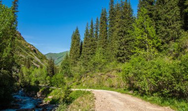 Dağlarda yaz. Yol dağlık arazide uzanıyordu. Hiçbir dağ bana yaklaşamadı. Bu yüzden hep onlara gidiyorum.