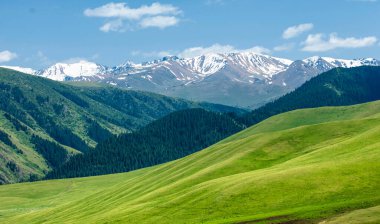 Dağlarda yaz. Dağlar hem bir yolculuk hem de bir hedeftir. Bizi yamaçlarına tırmanmaya, kanyonlarını keşfetmeye ve zirvelerine tırmanmaya zorluyorlar..